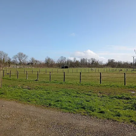 Le Du Galou Tatil Evi *