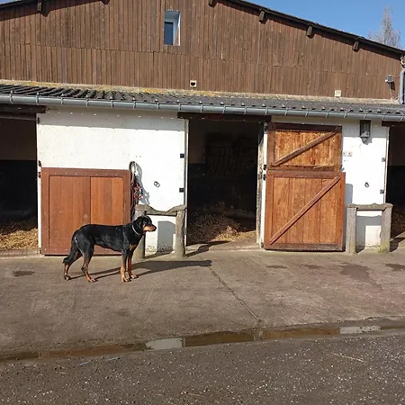 Le Du Galou Tatil Evi Sully (Calvados)