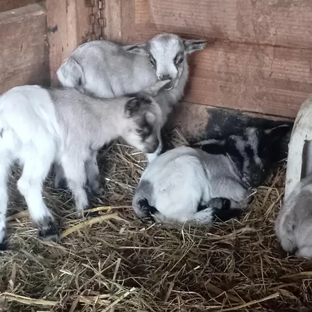 Le Du Galou * Sully (Calvados)