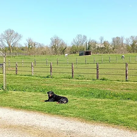 Le Du Galou * Sully (Calvados)