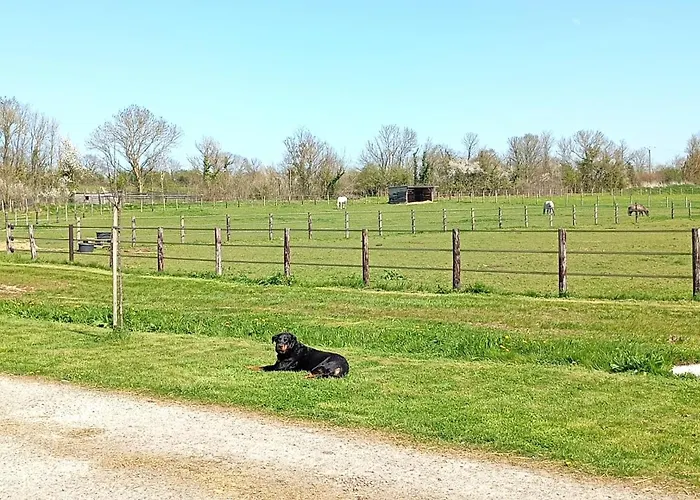 Le Du Galou * Sully (Calvados)